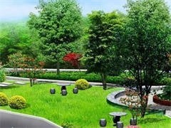 上海城市綠化養(yǎng)護(hù)服務(wù) 守護(hù)城市生態(tài)之美